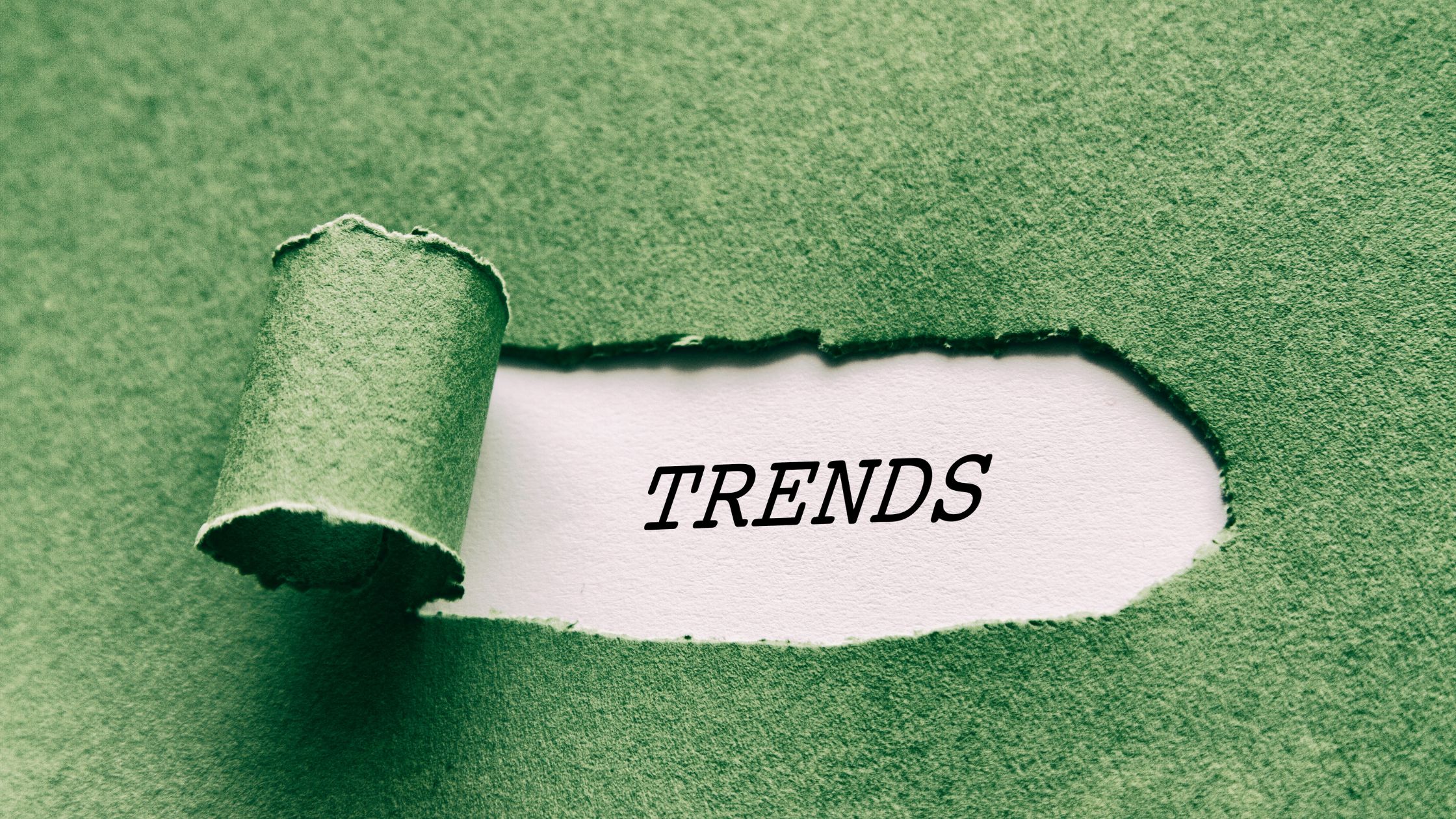 What Paid Media Trends Can Your Business Expect for Q2?