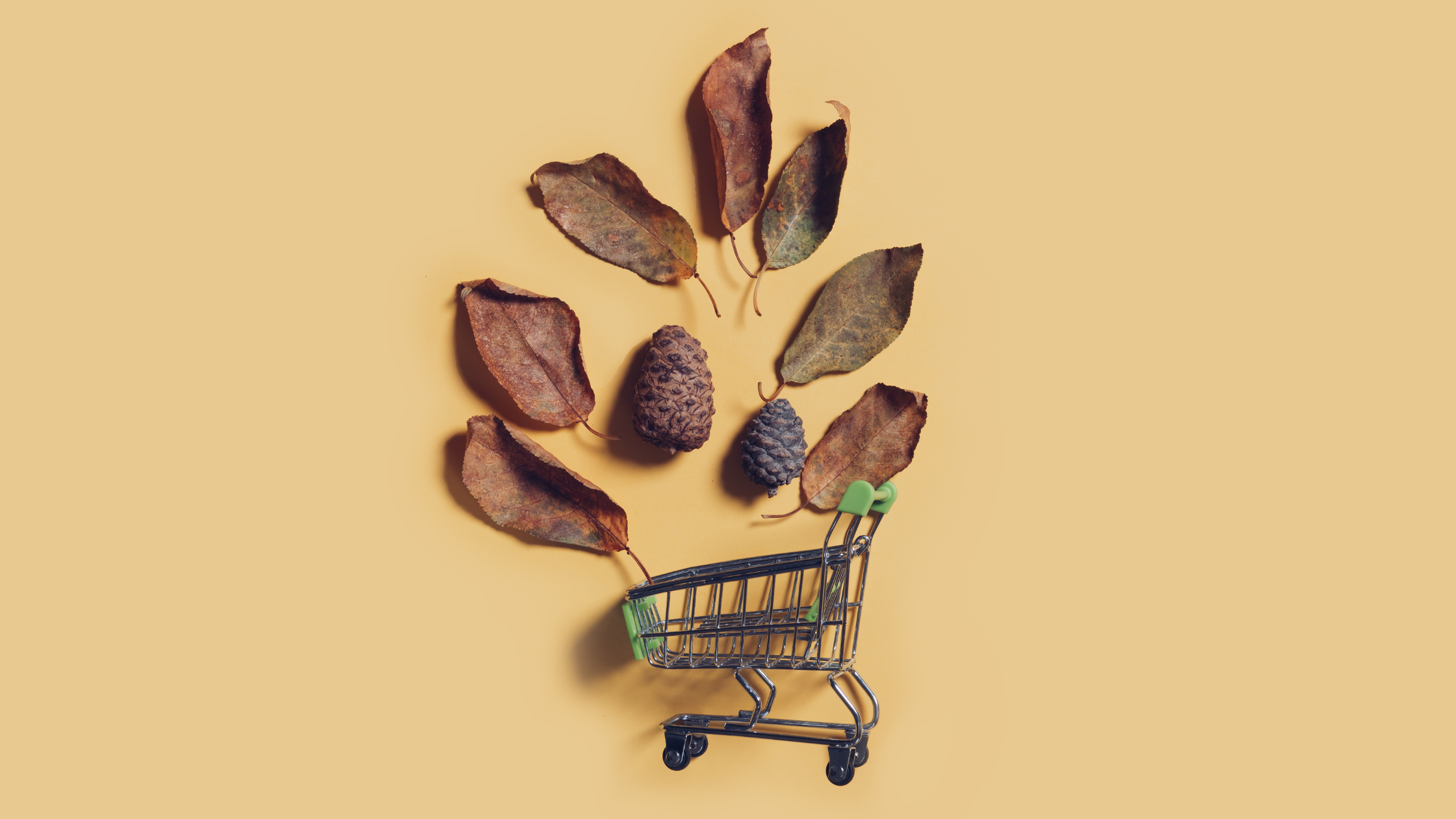 Maximizing Fall Foliage: How Social Media Can Showcase Your Seasonal Offerings